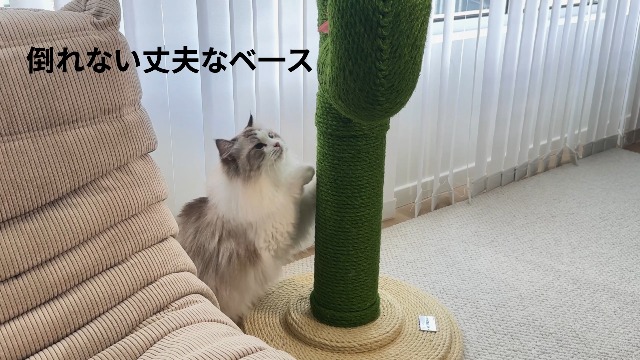 VETRESKA べトレスカ クリスマスツリー猫爪とぎ　(ミニ) Amazon | VETRESKA ベトレスカ ミニクリスマスツリー キャット