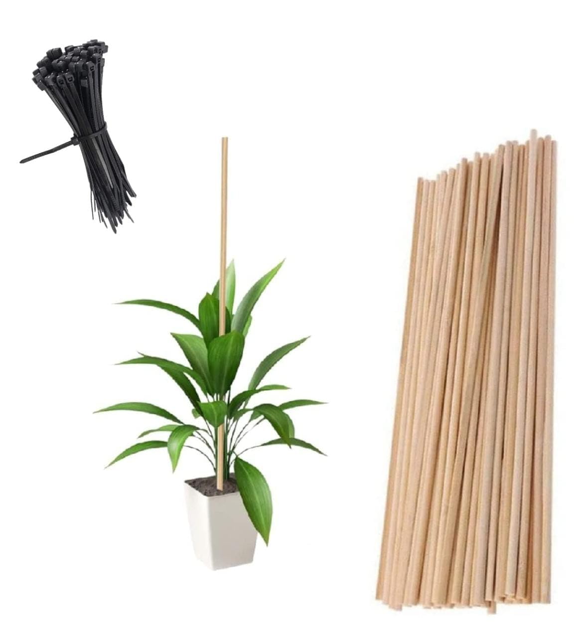 GREENARTZ® 12pcs Wooden Support Sticks (Teak Wood) for Plants Creepers Climbers Stem Support Climbing Support for Home (2 feet + 100pc Ties) (B0CBXKLK17) Amazon Price History, Amazon Price Tracker