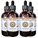 Blue Vervain (Verbena Hastata) Liquid Extract 4x4 oz