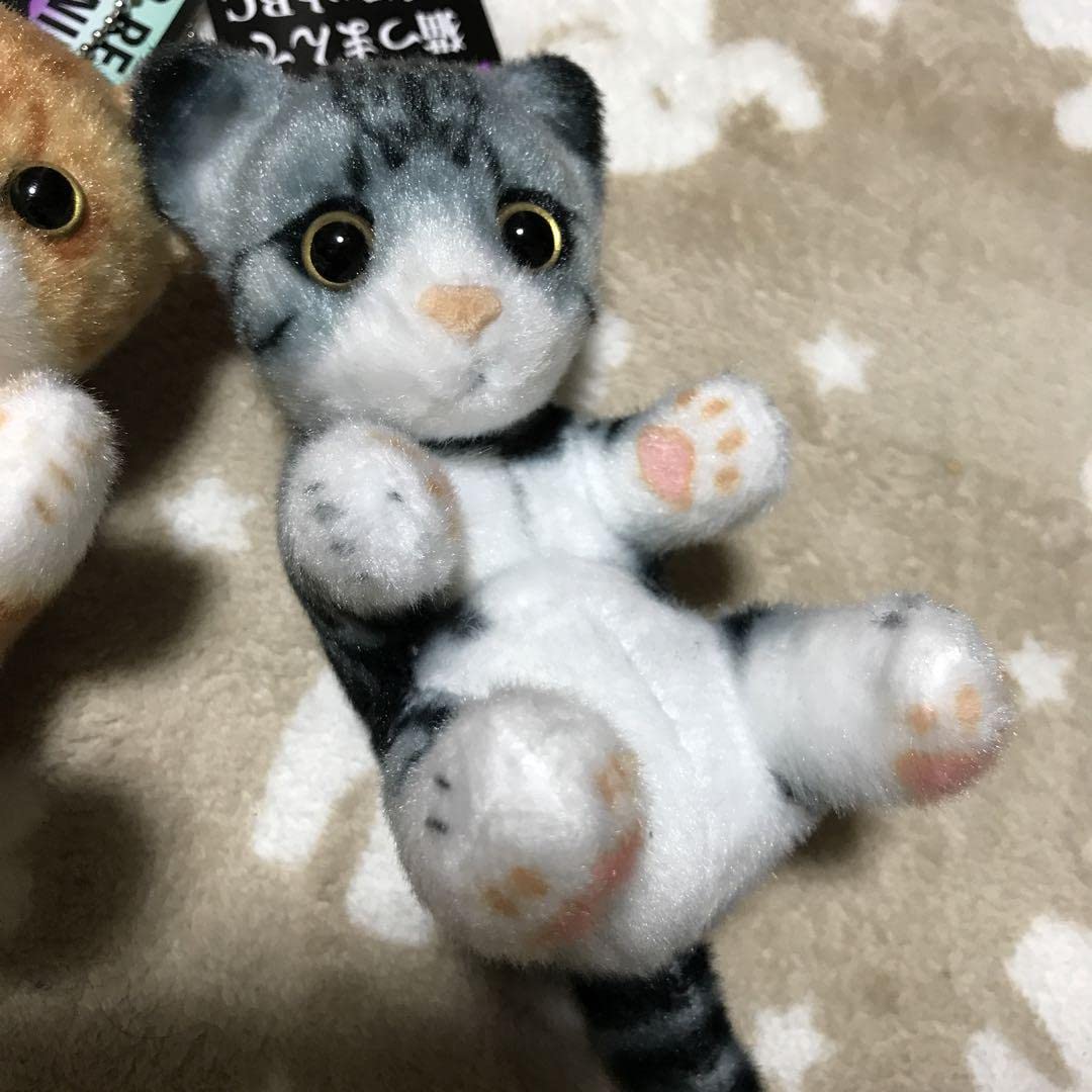 猫つまんでマスコットBC　猫　ぬいぐるみ　猫つまんで　マスコット　リアルアニマル Amazon.co.jp: 猫つまんでマスコットBC 猫つまんで マスコット