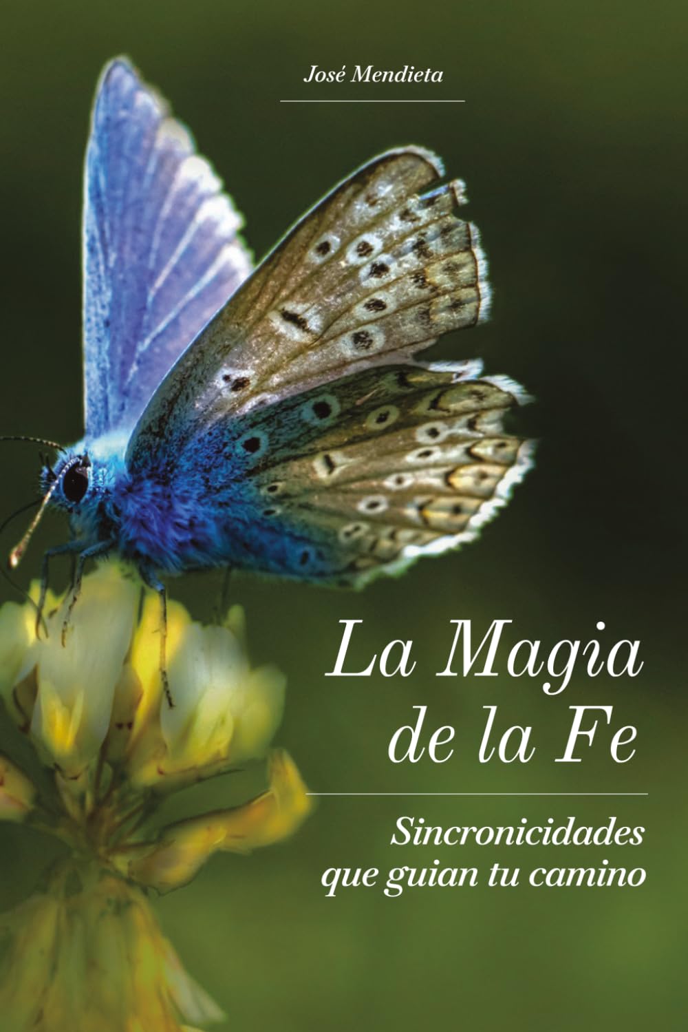 La Magia de la Fe: Sincronicidades que guian tu camino