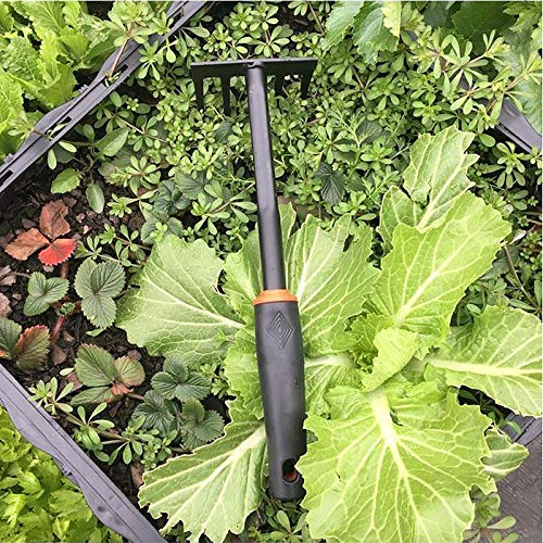 4 Pieces Garden Weeding Tools Planting Flowers Transplanting Shovel Loose Soil Rooter Multi-Function Fertilization Hoe Children Potted Rake