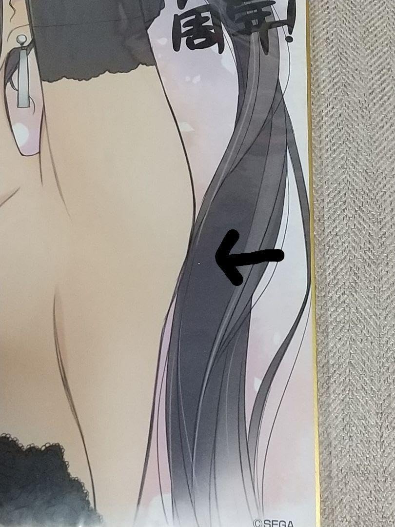 Amazon.co.jp: シャイニングブレイド10周年記念複製原画サイン色紙