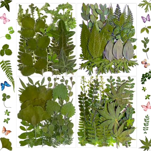 LUCISKY 136Pcs Pressed Dried Leaves and Butterfly for Resin Molds Real Natural Flowers Stickers for DIY Art Crafts Jewelry Candle Soap Crafts Making