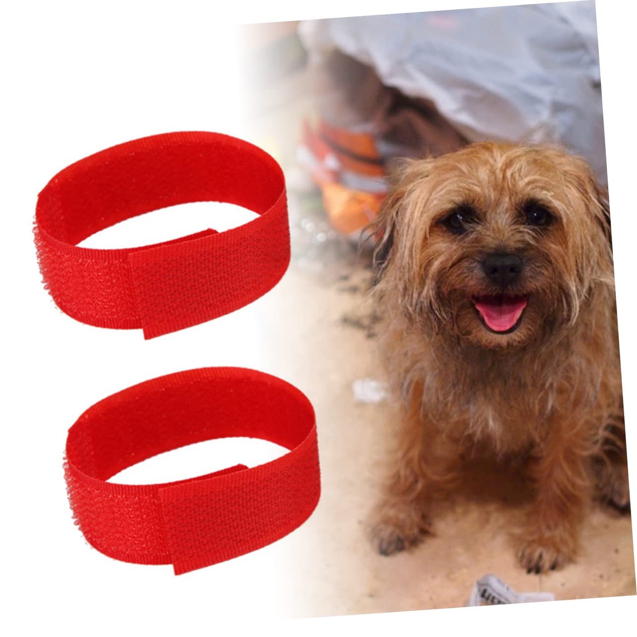 BESPORTBLE 4pcs Rooster Collar Crowing Collar for Rooster Necklace Noise Deterrent Pet Supplies