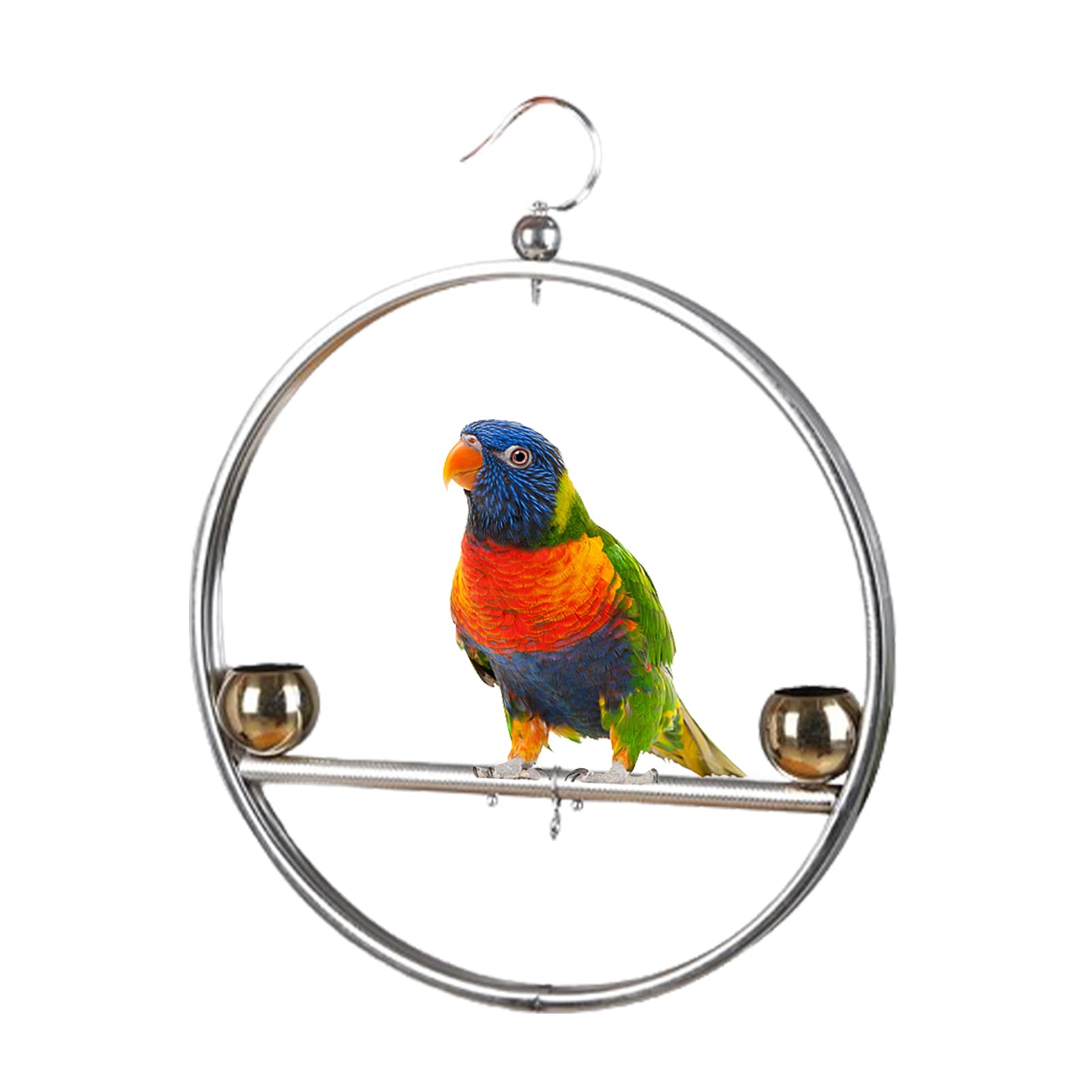 Support de jeu pour oiseaux de fenêtre et jardin, perchoir avec crochet pour l'extérieur