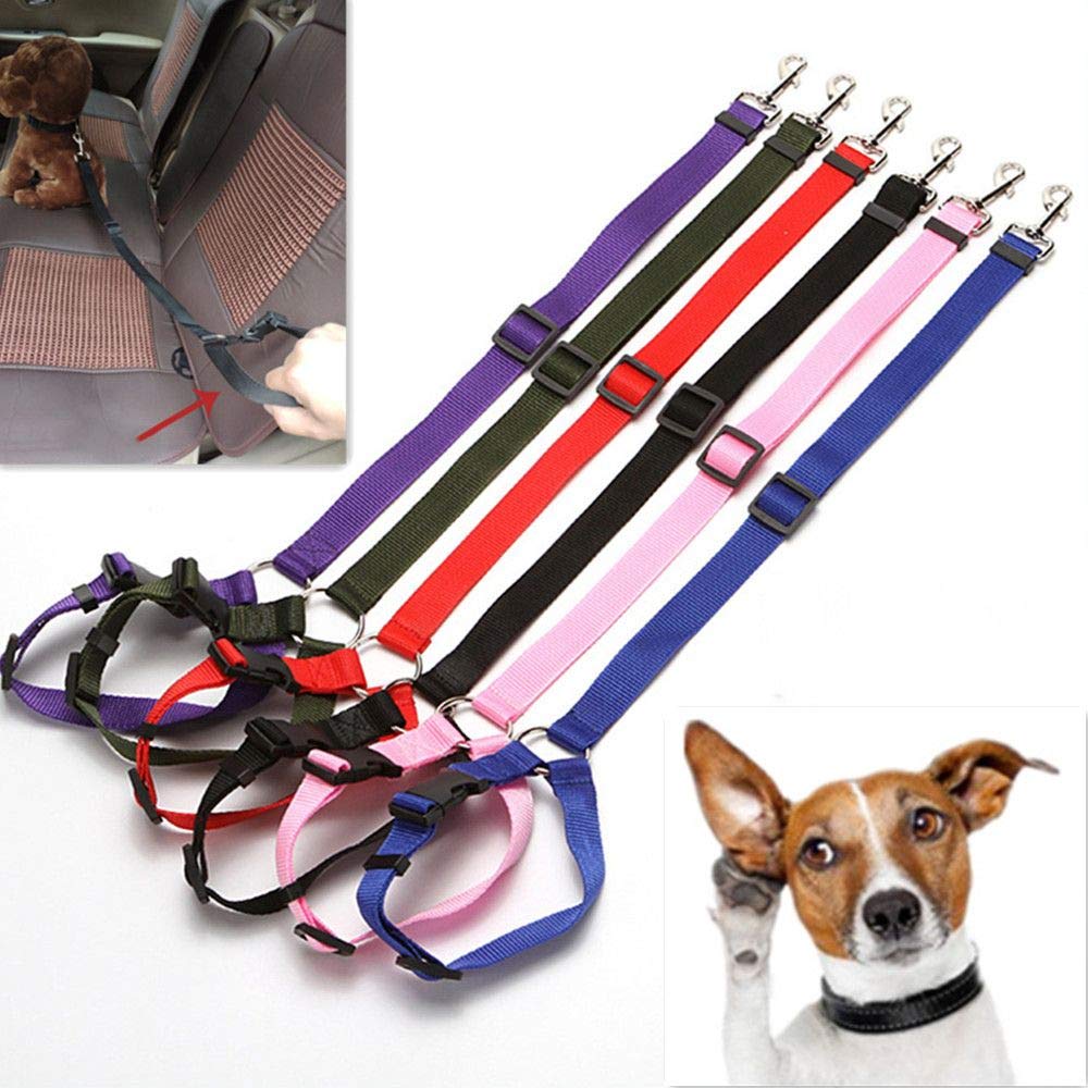 Seil Haustier Pet Products Universal Praktische Katze Hunde Sicherheit Einstellbar Auto Sicherheitsgurt Kabelbaum Leine Welpe Sicherheitsgurt Reise Clip Strap Leitungen Haustierleine Mit ( Size : Red