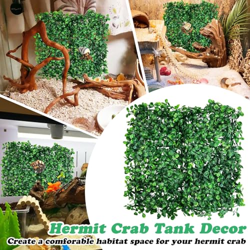 Image of PINVNBY 2 PCS Hermit Crab Climbing Toys Hermit Crab Climbing Wall with Suction Cups Plastic Faux Grass Mat Hermit Crab Accessories for Hermit Crab Tank Decor (10 x 10 Inch)