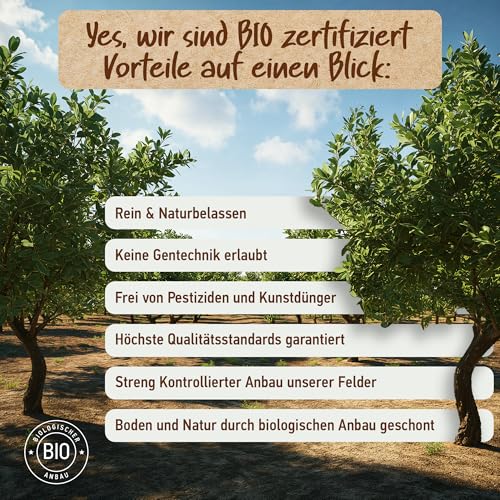 ARGANÖL BIO KALTGEPRESST | 100% Rein | Für Haare Haut & Nägel | Pipette+Pumper | Original aus Marokko | 100ml im lichtgeschützten Braunglas | Für Kosmetik | Feuchtigkeitspflege von Soena