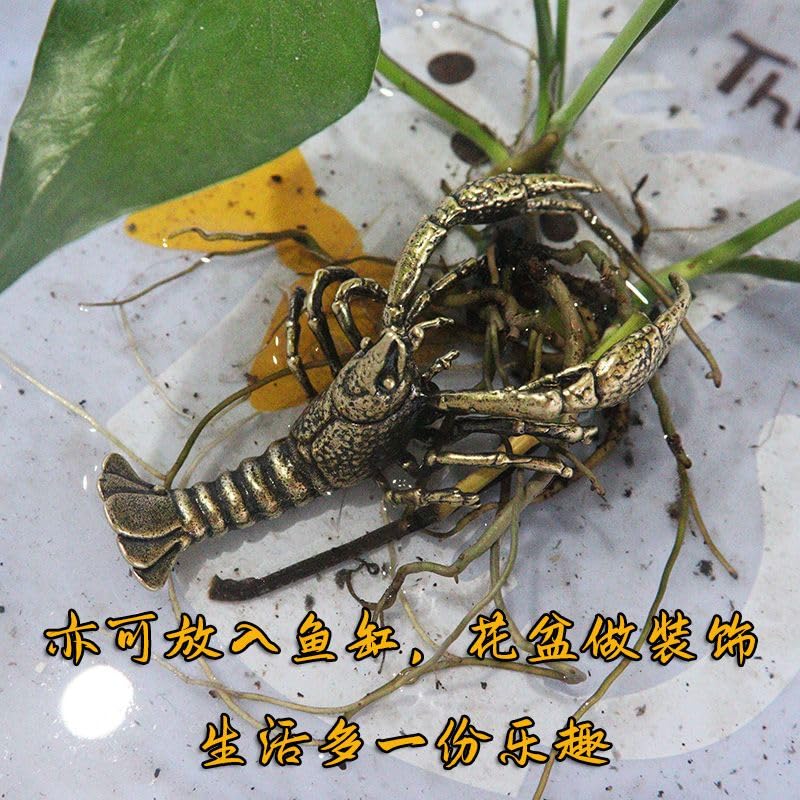 Amazon.co.jp: BAIKANIAO 9cm ヴィンテージ 真鍮 ラッキー ロブスター