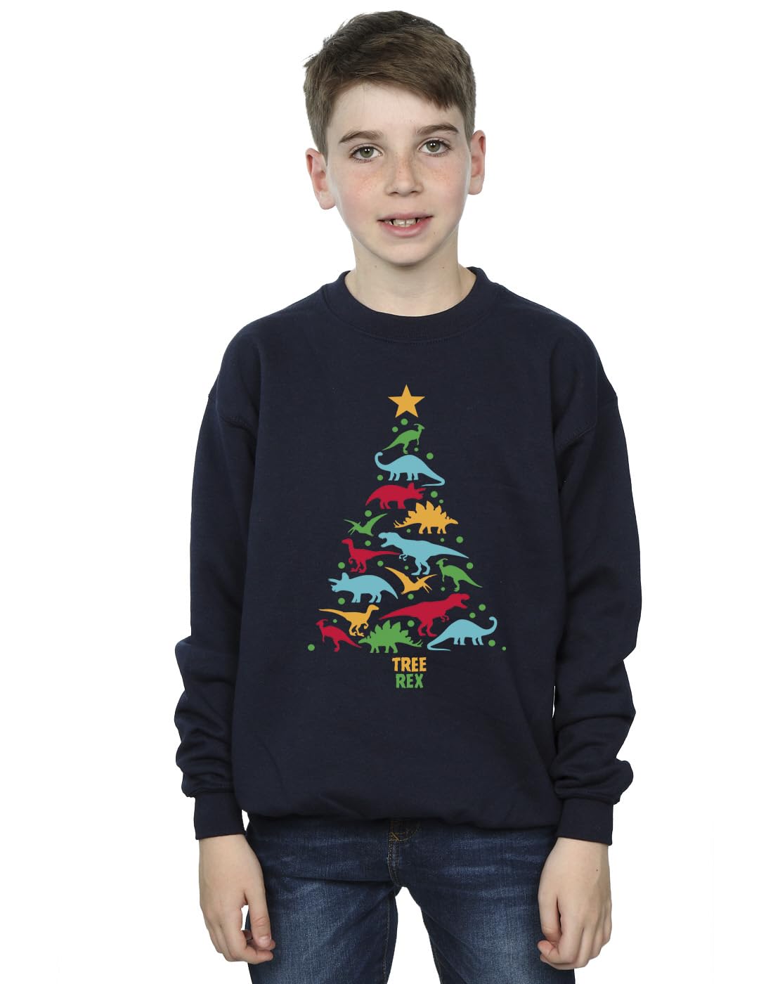 Absolute Cult Christmas Boys Dinosaur Tree Rex Sweatshirt Navy Blue 5-6 Years