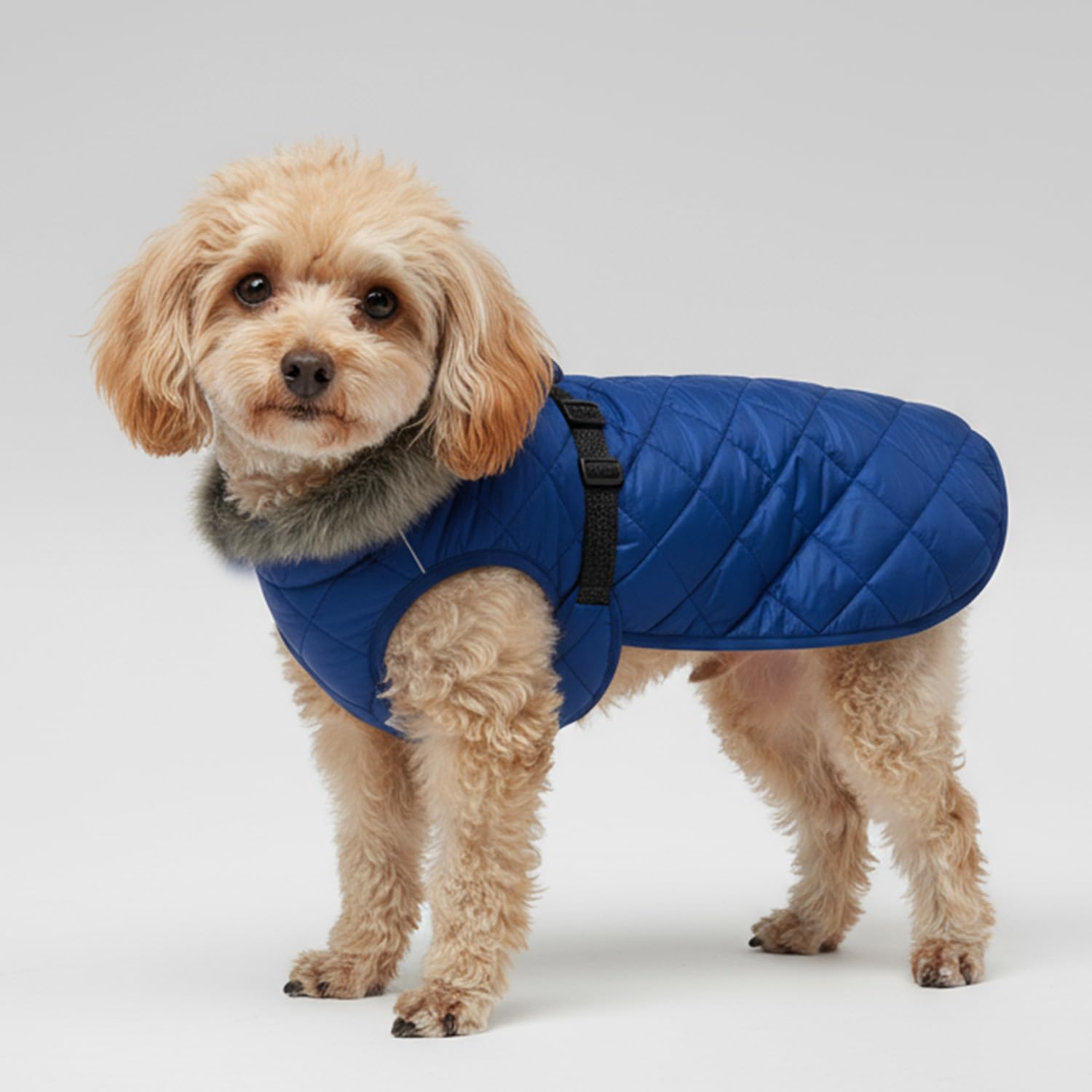 Chaqueta de invierno para perros medianos y pequeños, abrigo impermeable con cuello de piel, ropa de perro con forro polar reflectante con correa elástica, trajes para mascotas para clima frío