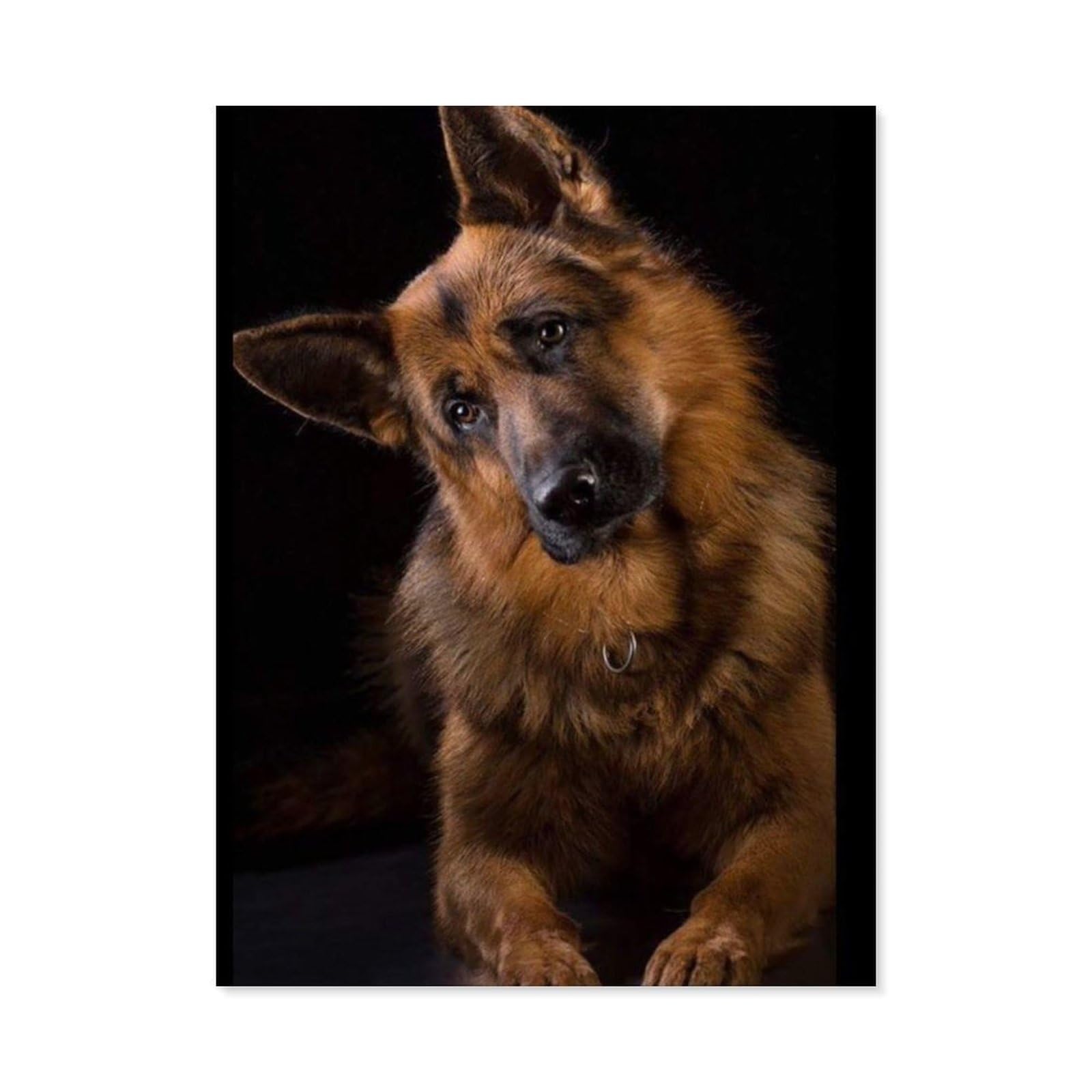 Gsbrsnts A3 German Shepherd Dog，Diamond Art Kits For Adults And Kids, Full Drill Round Rhinestone Paint With Diamonds（40 X 50 Cm/15.74 X 19.68 Inches）-A62