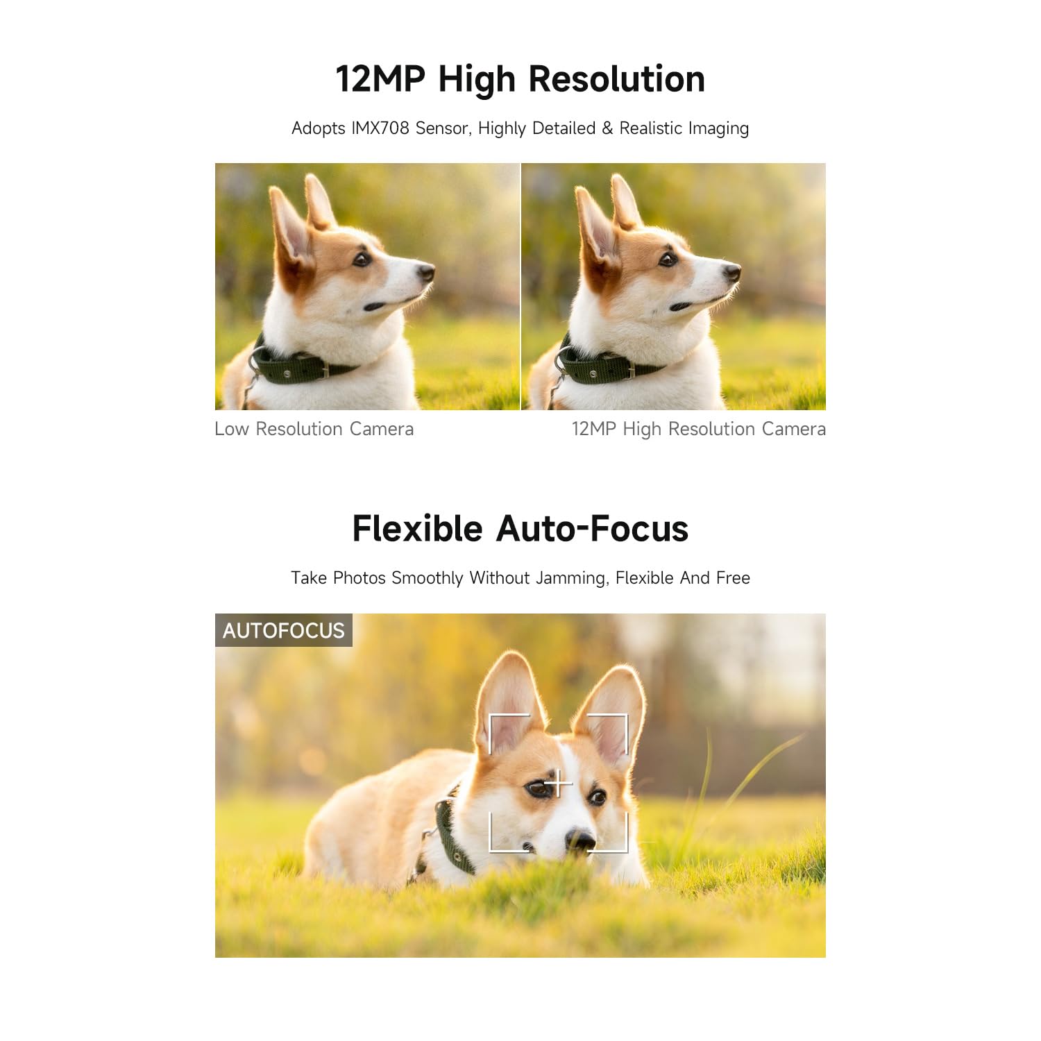 Waveshare IMX708 12MP High Resolution Camera Module, Featuring High Dynamic Range, with Wide Angle Version 120°