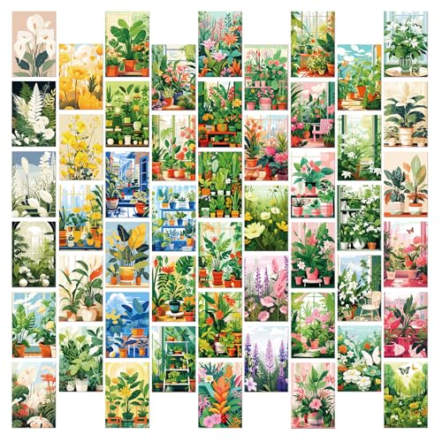Seamart Auswahl an Natur-Postkarten: 50 Postkarten in verschiedenen Naturmotiven (Hübsche Blumen)