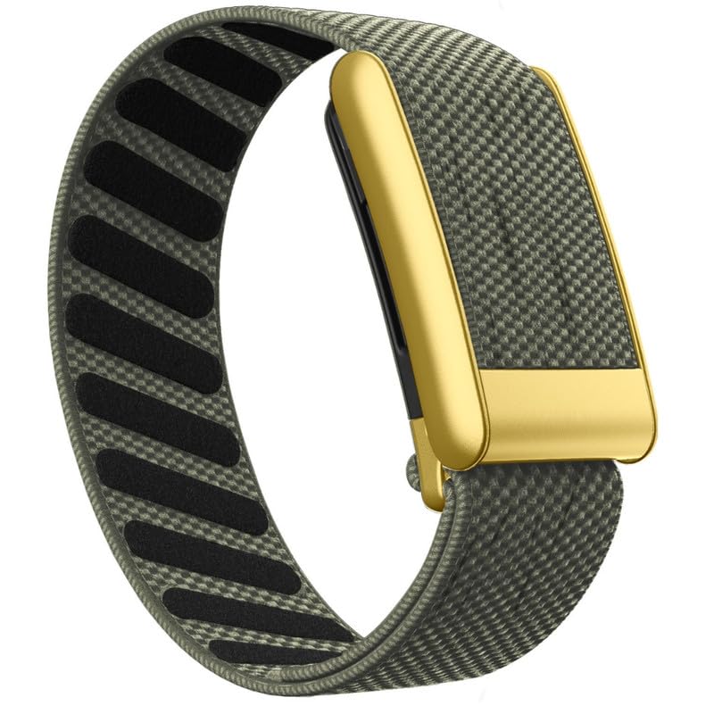 Gray Green-Gold Frame/5.0 Gray Green-Gold Frame/5.0