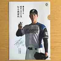 大谷翔平 日本ハム プレーヤーズ 下敷き クリアファイル セット 71Ir7dqon6L._UF350,350_QL50_.jpg