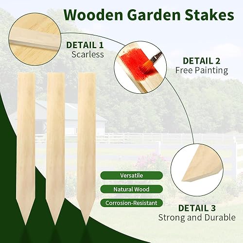 Miniatura 3 de 30 estacas de jardín de madera de 12 pulgadas, estacas de madera para letreros, estacas de grado y encuesta para soporte de plantas, valla de limo,