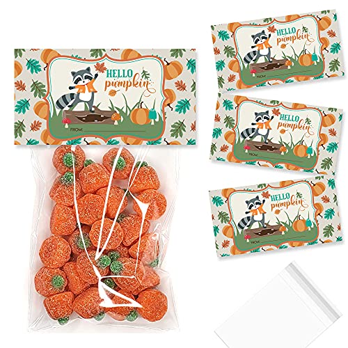 Décorations de sacs à friandises raton laveur pour fête d'enfants