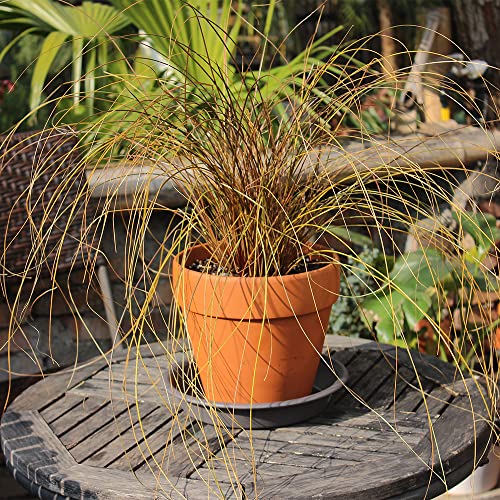 Bangqiao 12 Pack 7.00 Inch Plastic Round Plant Pot Saucer Drip Tray For Indoor And Outdoor Plants, Gray #TOP6