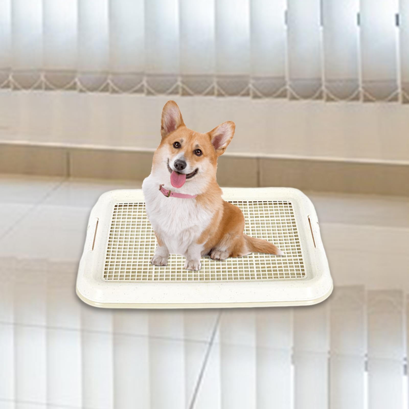 rockible Plateau d'entraînement aux Toilettes pour Chiens, Support de Coussinets d'intérieur pour Animaux de Compagnie, entraîneur de Pot d'intérieur pour, Blanc