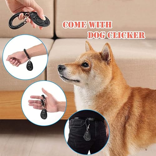 Miniatura 4 de Juego de equipos de entrenamiento de agilidad para perros, kit de inicio de carrera de obstáculos para entrenamiento de cachorros, agilidad para