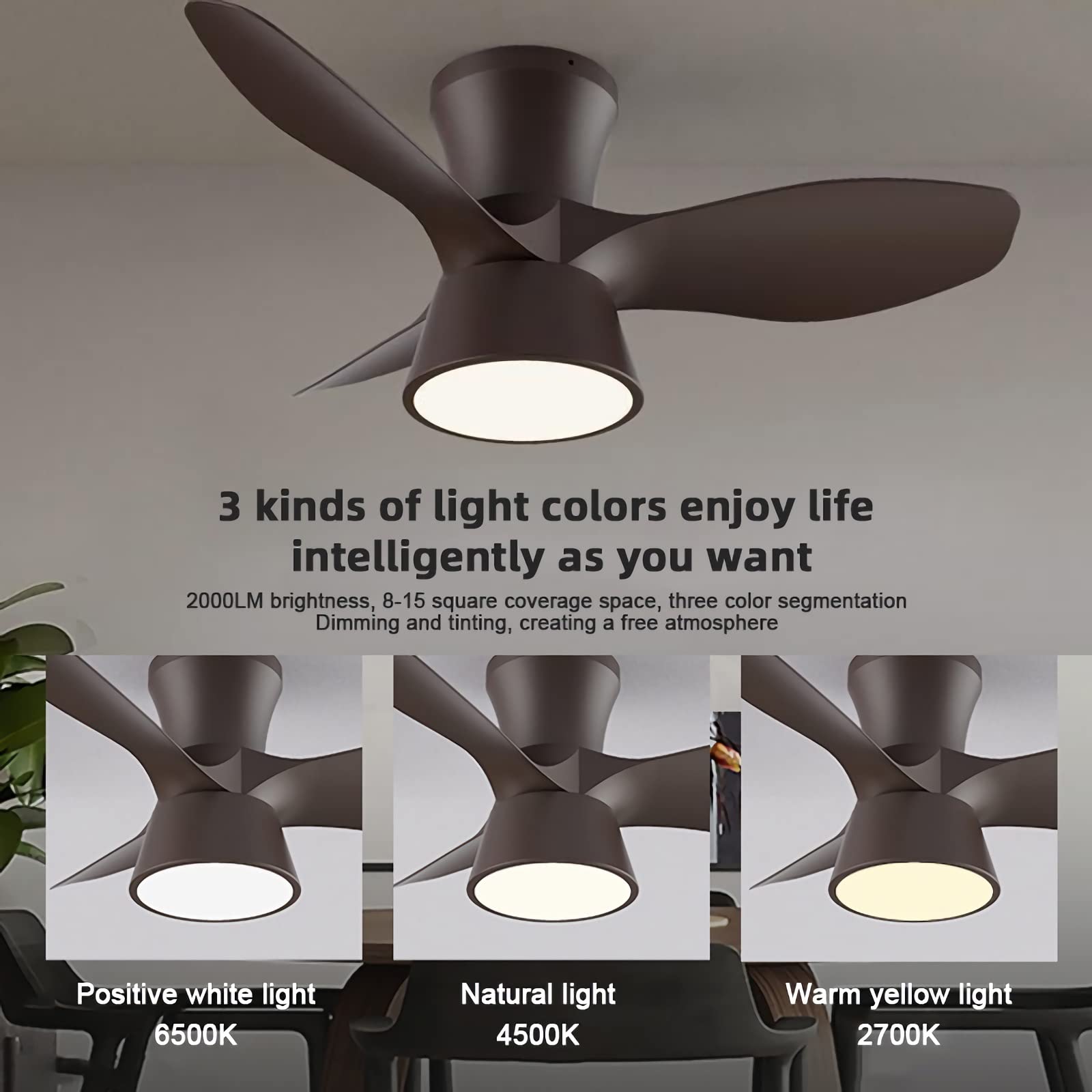 YUNZI Ventilatore da soffitto con Luce e Telecomando, LED 60W Dimmerabile Lampada da soffitto Moderno Ventilatori a soffitto per Soggiorno Camera da Letto Illuminazione, 6 velocità, Nero, 50CM
