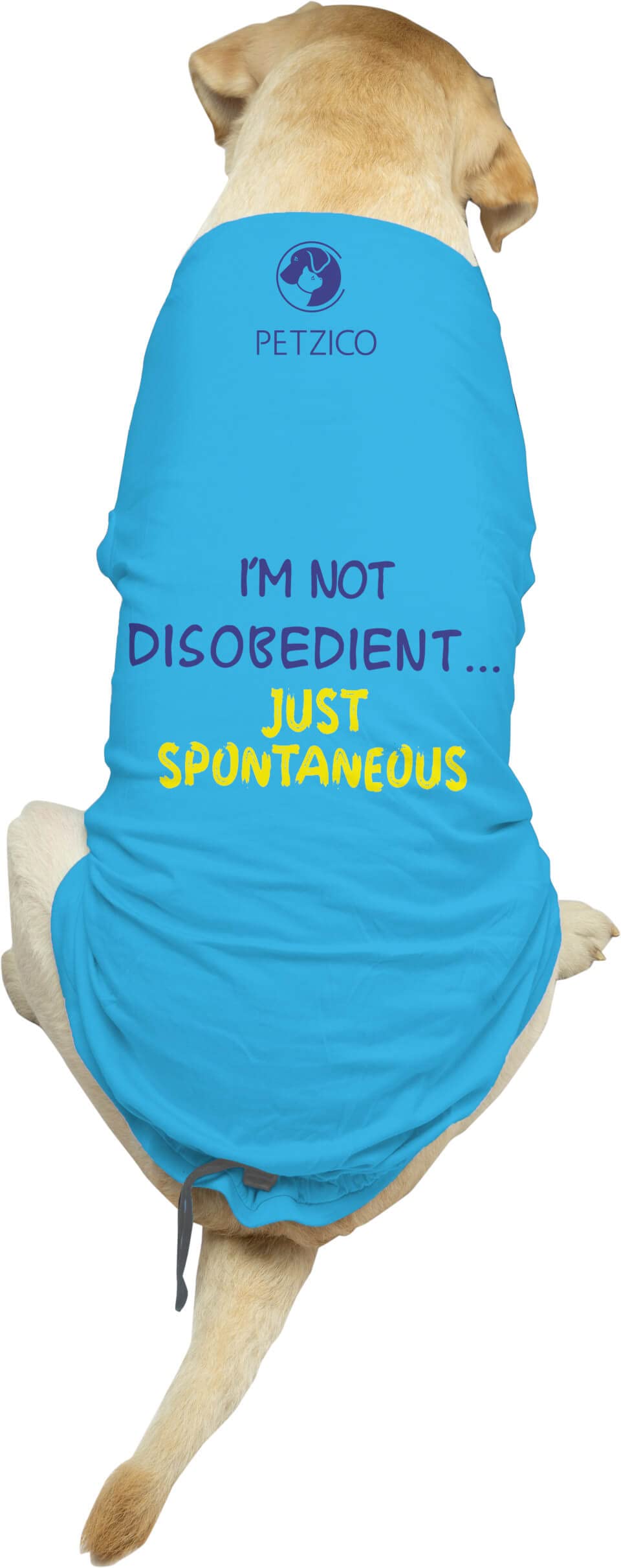 See full amazon price history chart for Personality Defining Dog T Shirts by PetZico for Large Dogs Adult (Labrador, Golden Retriever, German Shepherd Breed) Summer Dog Clothes Dogs Cotton T-Shirt Unisex (Male and Female pet Dogs) Personality Defining Dog T Shirts by PetZico for Large Dogs Adult (Labrador, Golden Retriever, German Shepherd Breed) Summer Dog Clothes Dogs Cotton T-Shirt Unisex (Male and Female pet Dogs) (B0BTXJYKM9) Amazon Price History, Amazon Price Tracker