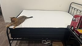 Review Image by Eva Zhao