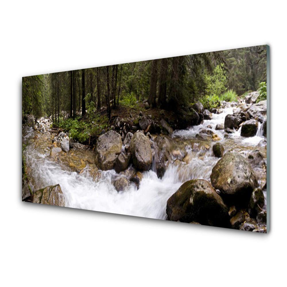 Tableau mural moderne en verre trempé Tulup 100x50cm décoration design haut de gamme