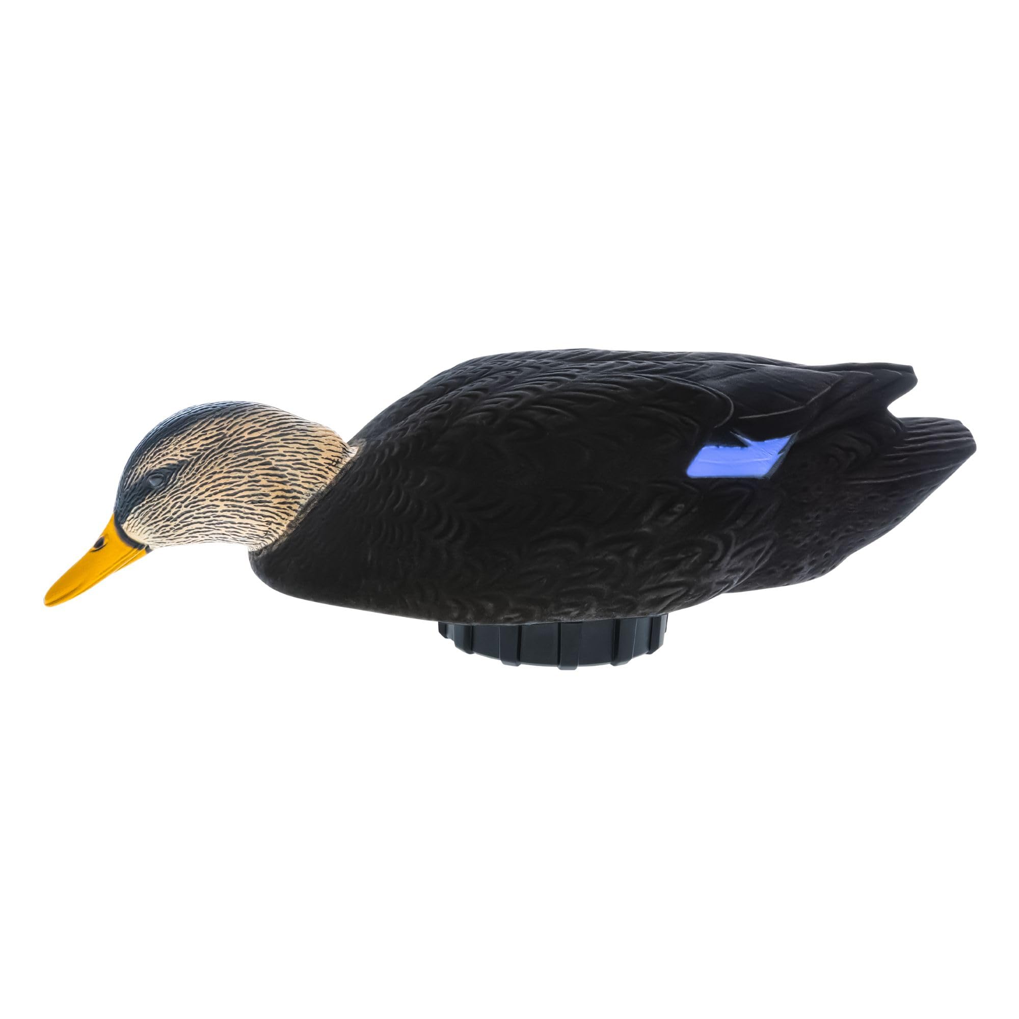 How to Decoy Ducks: Expert Tips and Tactics for Finishing Birds Close Avian-X Power Shaker