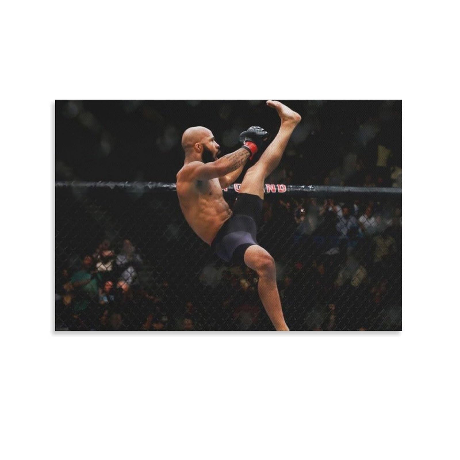 FCOIN Demetrious Johnson Canvas Poster Poster Painting Canvas Wall Art Living Room Posters Painting 16x24inch(40x60cm)