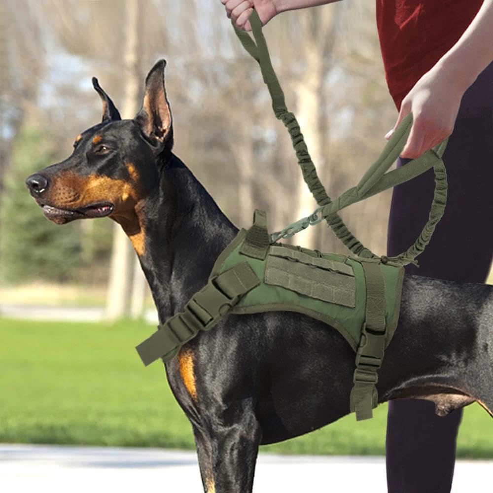 Set di Imbracatura e guinzaglio per Cani da Caccia e Campeggio all'aperto, tattico Militare, in Nylon, per Cani (Set A, L)