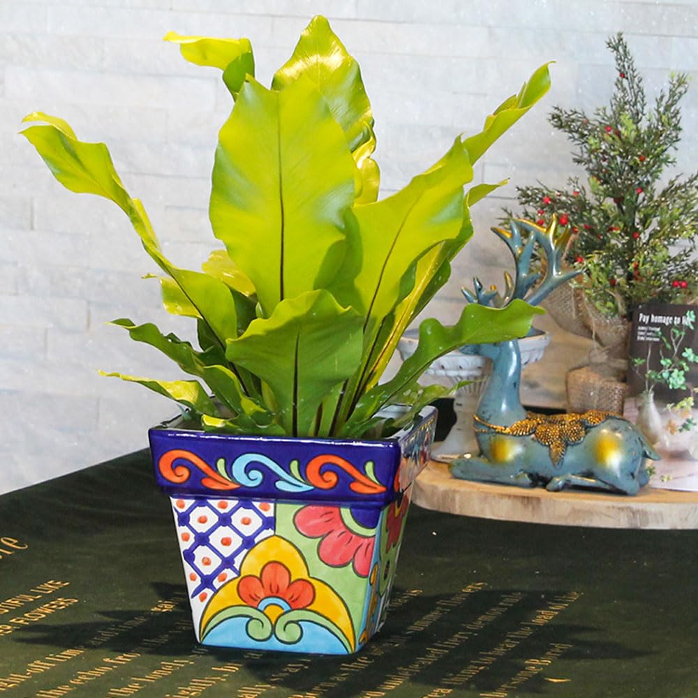 DFGHNBVC Hand Painted Ceramic Plant Pot Planter Indoor Outdoor Garden Flower Vase Succulent Planter For Home Office Decor,15 * 13.5cm