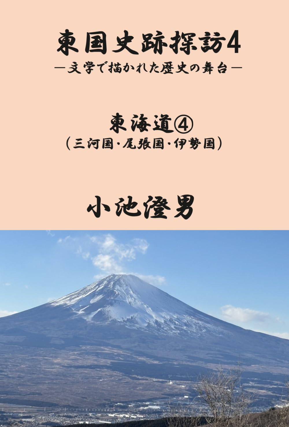 東国史跡探訪4（東海道④）: 文学で描かれた歴史の舞台