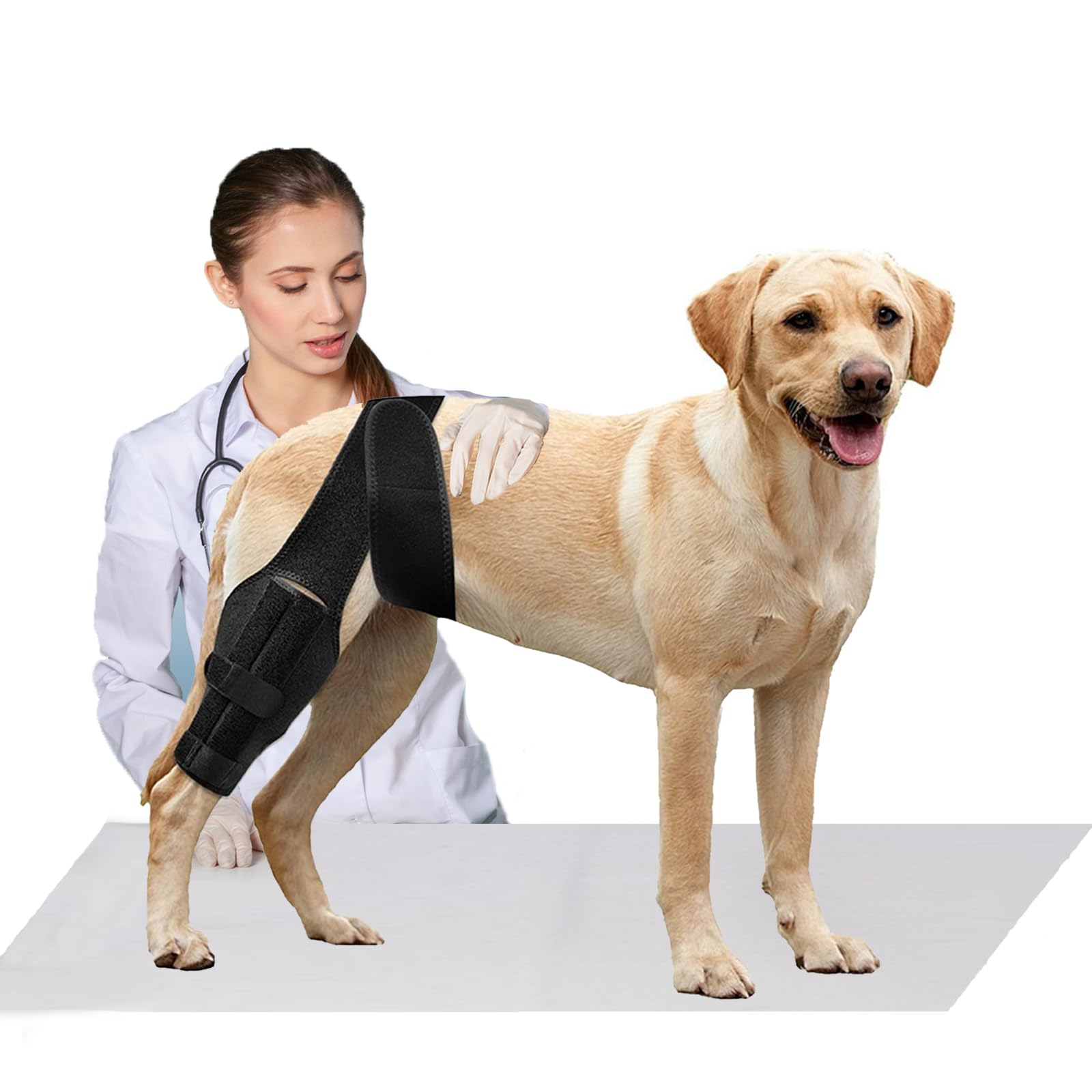 Tinzum M Dog Knee Brace for Torn ACL