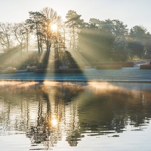 Atomic Gardens and Other Remarkable Histories