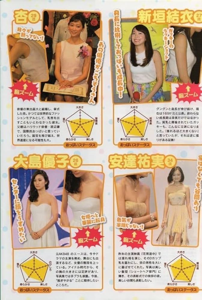 西内まりや新垣結衣乳首