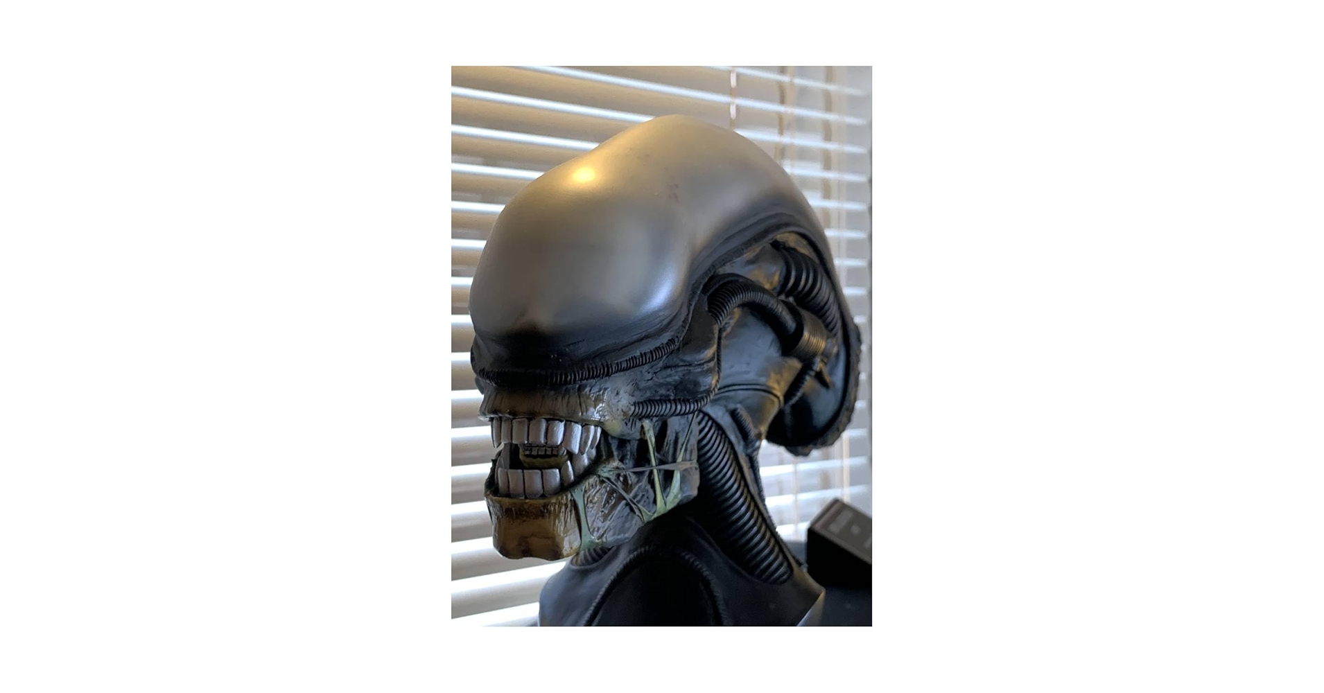 Amazon.co.jp: ハリウッドコレクターズギャラリー ALIEN ハーフ
