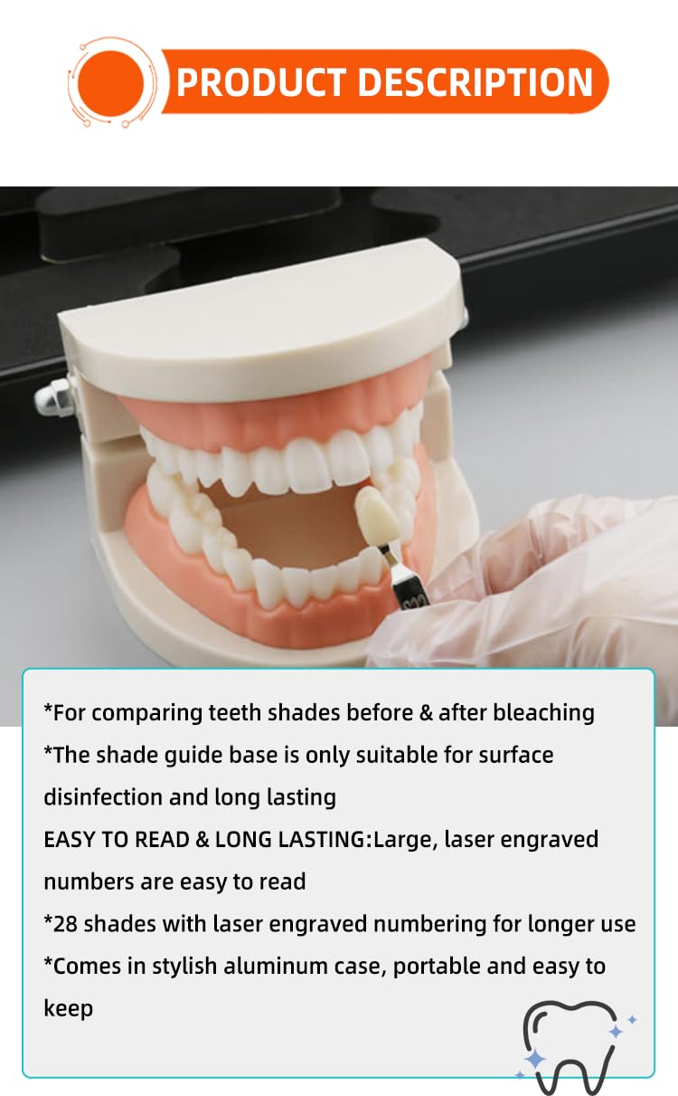 Guía profesional 3D R-28 para blanqueamiento dental dental para dentistas, curso de blanqueamiento de dientes, guía de sombra de dientes con 28 colores