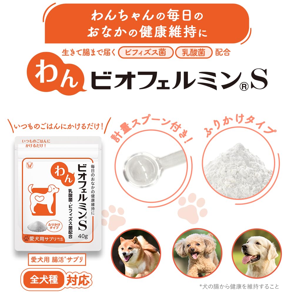 Amazon | 大正製薬 わんビオフェルミンS 1袋/40g 【犬用健康補助食品