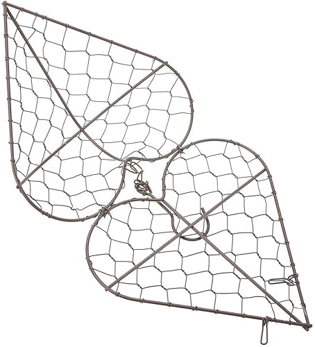 Miniatura 5 de JYCAR Macetas en forma de corazón de hierro para suculentas, cesta colgante de metal con gancho, cesta colgante de flores para plantas de interior y