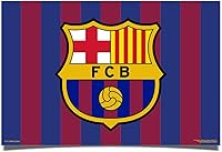 Vista 8 de Desert Cactus FC Barcelona - Póster de fútbol de fútbol de 24 x 36 pulgadas, decoración oficial para fanáticos (24 x 36, estilo F)
