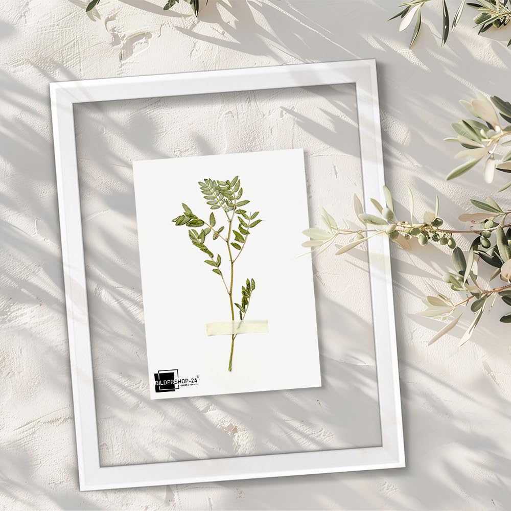 Bildershop-24 Telaio in vetro doppio con doppi vetri, Prio in Bianco (opaco) 40x60cm con vetro acrilico, cornice per quadri con doppi vetri