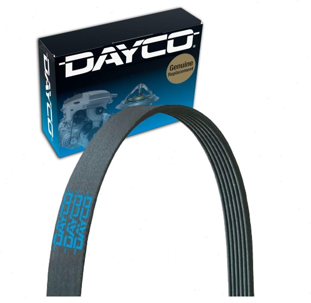 Dayco Poly Rib V-Ribbed Belt (A060664)