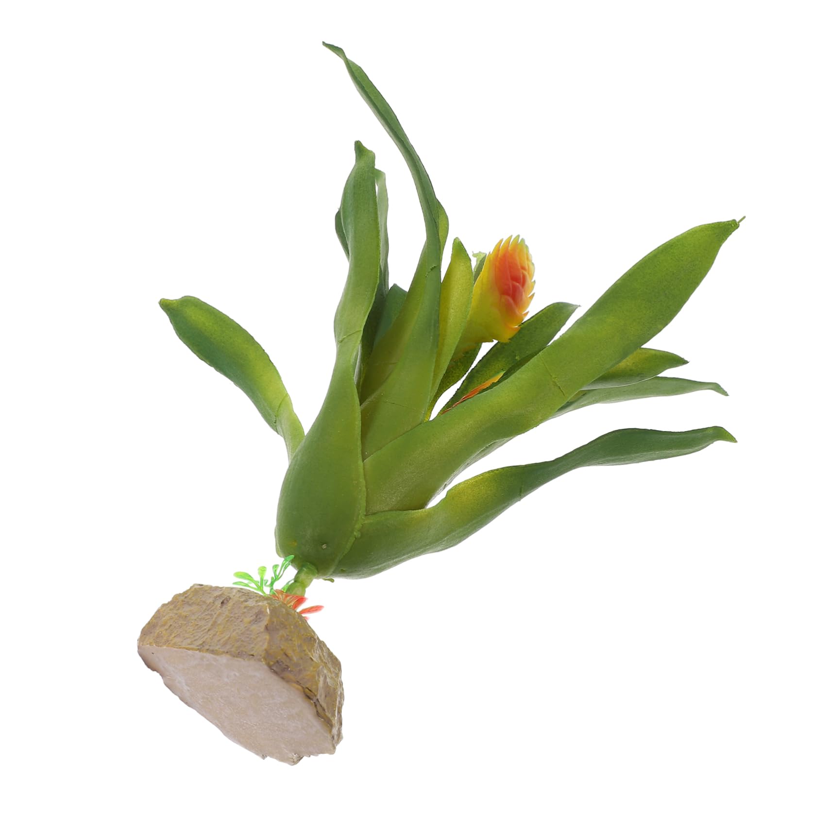 Happyyami 5piezas Decoración Acuática Realista Artificial Resistente para y Terrario Accesorio De Pecera Simulación De Vegetación para Acuático