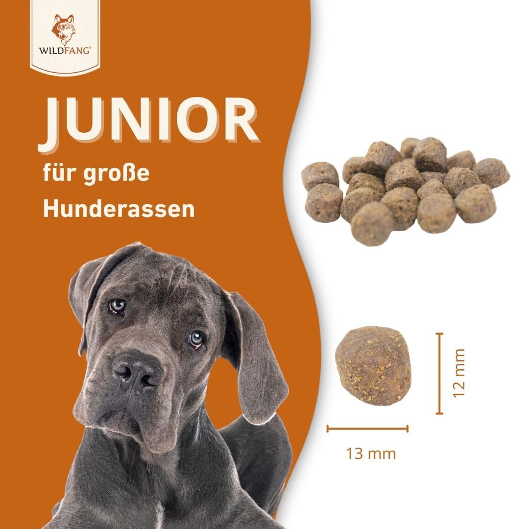 Wildfang® Trockenfutter für Hunde 6kg – Premium Hundetrockenfutter mit Lachs, Getreidefrei & glutenfrei, mit natürlichen Zutaten, ohne Zuckerzusatz, Welpenfutter trocken für Hunde – 1er Pack