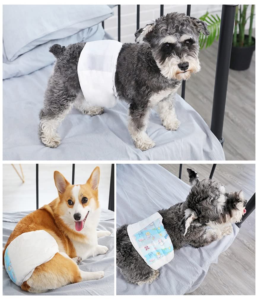Pañales para Perros Pañales De Perro Masculinos Desechables - Absorbent Male Dog Wraps Bandas De Vientre For Perros Machos con Protección De Fugas/M(40pcs)