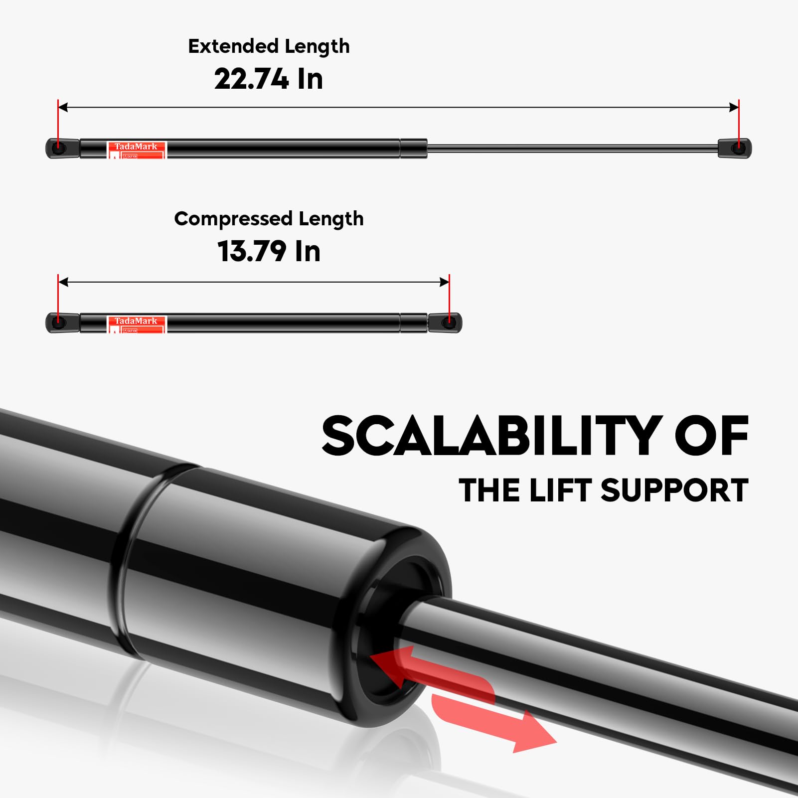 FCS Liftgate Lift Supports 84839 & 84840 | New | $20.00 | Castle Rock, Colorado FCS Liftgate Lift Supports 84839 & 84840 | New | $20.00 | Castle Rock, Colorado