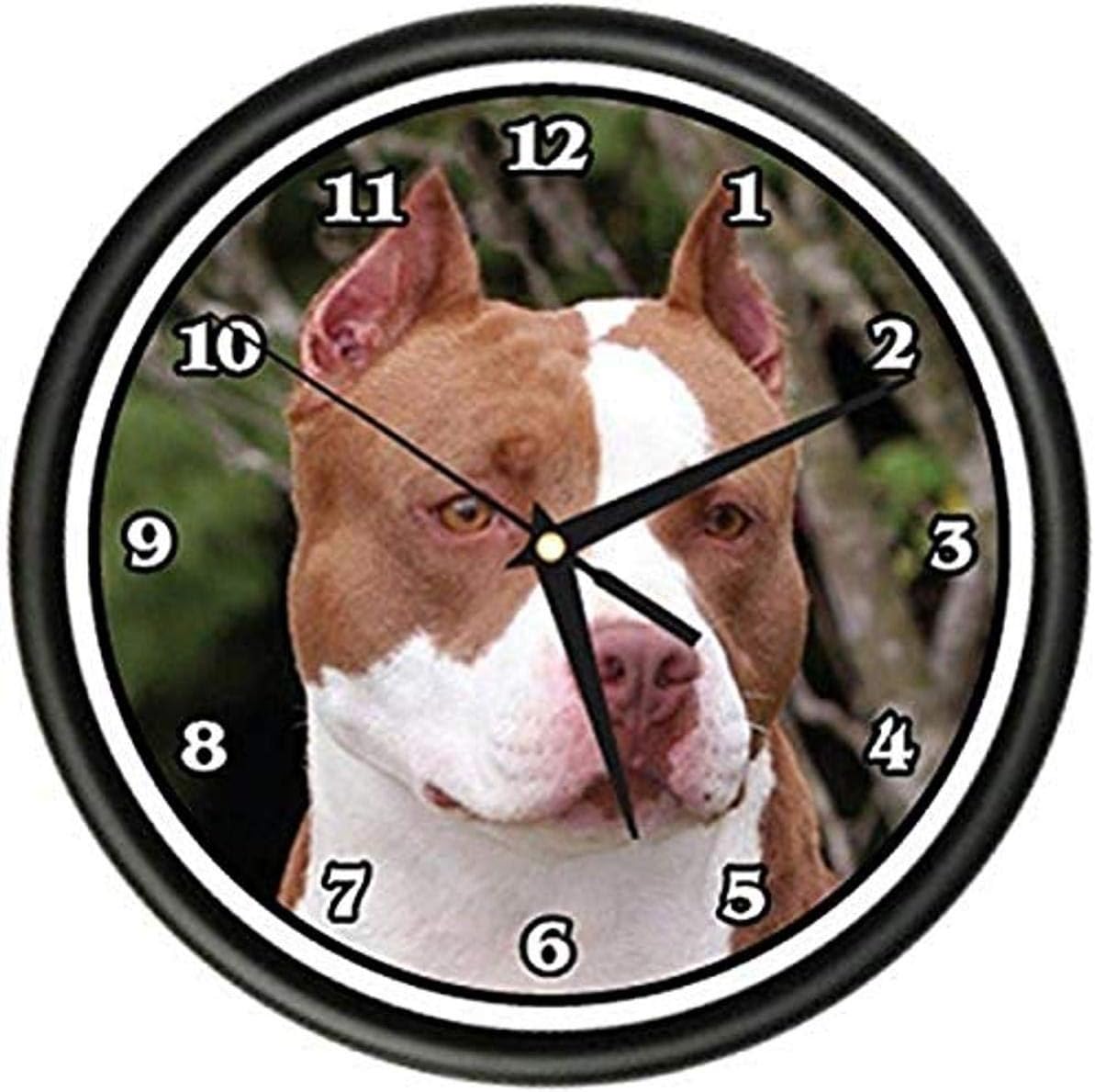 SignMission Pitbull Terrier Wall Clock Dog Doggie pet Breed Gift